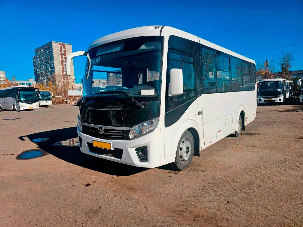 ПАЗ Вектор Next на 30 мест на заказ